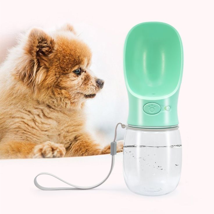 Bebedero Portátil Mascotas HydraPet Go®